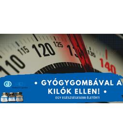 Hogyan használjuk a gyógygombát a túlsúly, elhízás kezelésére?
