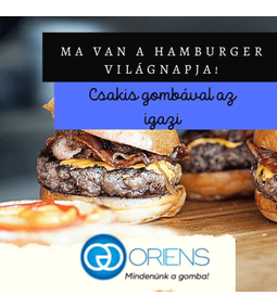 Ínyenc hamburger laska -, és shiitake gyógygombával