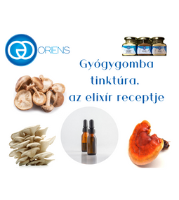 Gyógygomba tinktúra, az elixír receptje