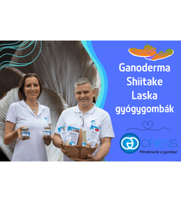 Miért superfood a gyógygomba? Hogyan óvja egészségünket, vagy veszi fel a harcot a betegségekkel?
