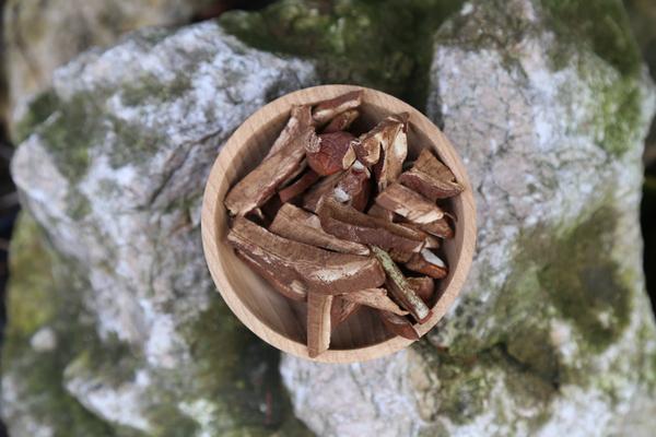 Szárított-Ganoderma
